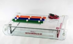 Maxi Sub XL System: Extra Large Model (Custom built) Gel Size 30cmx25cm (for 33×3=99 samples) with inbuilt comb stand Multi Channel Pipette Compatible