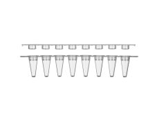 TAURUSDISPO PCR Strips, 0.2ml x 8tubes, thin walled, optical clear, flat cap (not attached), Dnase/Rnase free