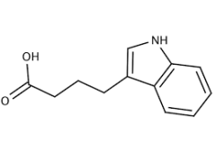 Indole‐3‐Butyric Acid (IBA) pure, 98%