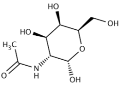 N‐Acetyl‐D‐Galactosamine extrapure, 98%