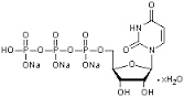 Uridine‐5‐Triphosphate Trisodium Salt Dihydrate (UTP‐Na3) extrapure, 90%