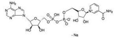 ß‐Nicotinamide Adenine Dinucleotide Sodium Salt (ß‐NAD.Na) extrapure, 95%