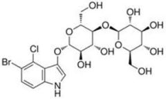 5‐Bromo‐4‐Chloro‐3‐Indolyl‐ß‐D‐Glucuronide Sodium Anhydrous (X‐Gluc Sodium) extrapure, 98%