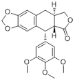 Creatinine Deiminase ex. Microorganism, 10U/mg powder