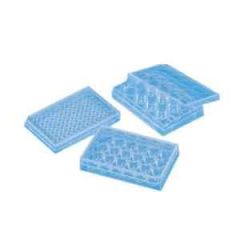 Tissue Culture Plate - Sterile PS  6 wells