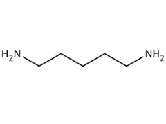 Cadaverine Free Base (1,5‐Diaminopentane) extrapure, 97%