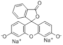Fluorescein Sodium Salt (C.I. No. 45350)
