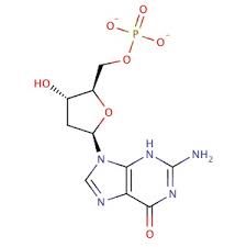2’‐Deoxyguanosine ‐5’‐Monophosphate Sodium Salt (dGMP) extrapure, 98%