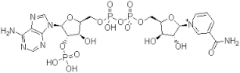 ß‐Nicotinamide Adenine Dinucleotide Phosphate Monopotassium Salt (Oxidized) (ß‐ NADP.K)extrapure, 95%