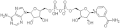 ß‐Nicotinamide Adenine Dinucleotide (Oxidized) (ß‐NAD, DPN) ExiPlus, Multi‐Compendial, 98%
