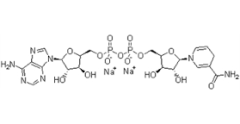 ß‐Nicotinamide Adenine Dinucleotide Disodium Salt  (Reduced) (ß‐NADH.Na2, DPNH.Na2) extrapure, 98%