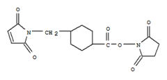 Succinimidyl‐4‐(N‐ (N‐maleimidomethyl) cyclohexane‐1‐carboxylate (SMCC), 98%