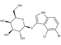 5‐Bromo‐4‐Chloro‐3‐Indolyl‐ß‐D‐ Galactopyranoside (X‐Gal) for molecular biology, 98%