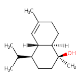 Immersion Oil Synthetic for microscopy