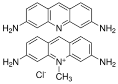 Acriflavine Neutral for molecular biology, 98%