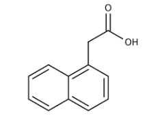 Naphthalene‐1‐Acetic Acid (NAA) extrapure, 99%