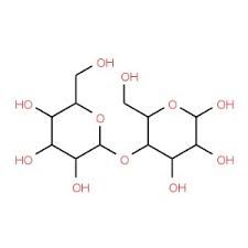 Dextran Blue 500 ex. Leuconostoc Sp.