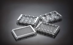 TAURUSDISPO Cell Culture Multiwell Plates, Flat Bottom, Surface Treated, Sterile, Dnase/Rnase Free, Individually Packed, 24 well