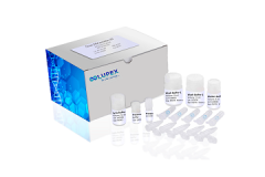 Rnase Inhibitor, 40U/ul