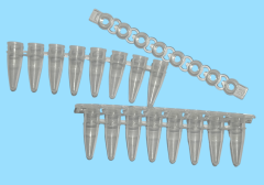 0.2ml PCR Strip 8 Tube with Cap Clear Sterile(125 Pcs/Pack)