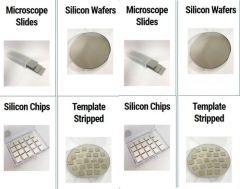 Template-Stripped Platinum