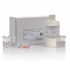 Quant-iT™ dsDNA Assay Kits, high sensitivity (HS) and broad range (BR)