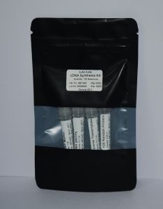 1st Strand cDNA Synthesis Kit