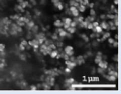 Boron Nitride Nanopowder ( h-HBN) -10 gm