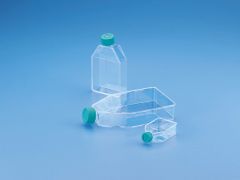 Tissue Culture Flask with Filter Cap Sterile  PS Size cm2. 175