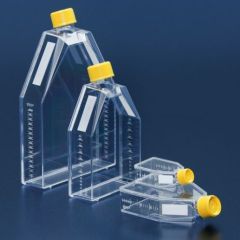 Tissue culture flask 25 cm2 / filter screw cap