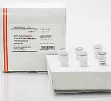 DNA Amplification Core Kit (with Marker), 100 reactions