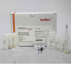 Genomic DNA Extraction Teaching Kit, (from Bacteria) 20 expts