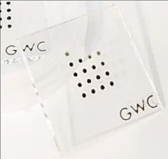 Gold-Coated Chips for SPR