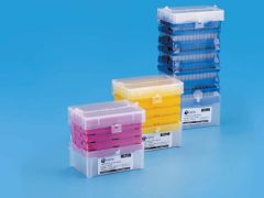 Graduated Tips Reload PP Autoclavable 300 µl