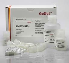 GST – Fusion Protein Purification Kit, 5 preps
