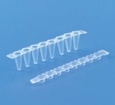 MAXIAMP 0.1ml CLEAR TUBE STRIPS WITH CLEAR FLAT CAP