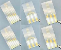 Five Probe Electrodes