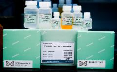 XPLOREGEN PLANT DNA EXTRACTION KIT- 50 reactions