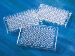 Corning 96 Well Clear V-Bottom Polystyrene Not Treated Microplate, Individually Wrapped, without Lid, Sterile