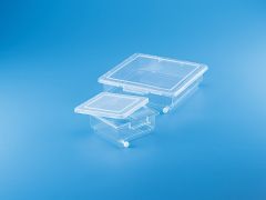 STAINING BOX PP22.5X22.5